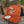 Load image into Gallery viewer, Georgia Duck Camo Trucker Hat