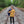Load image into Gallery viewer, Antique Gold Vintage T-Shirt