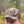 Load image into Gallery viewer, The Duck Camo Snapback Trucker