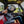 Load image into Gallery viewer, The Haralson Hat Co. Foam Trucker